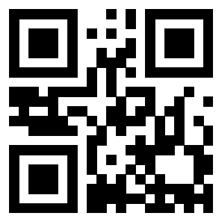 Il Qr Code di 3913284583