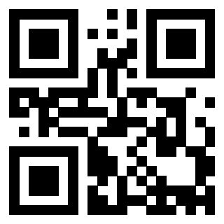 Il Qr Code di 3913284624