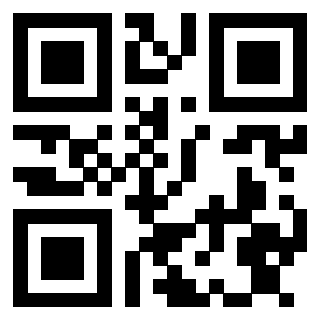 Il Qr Code di 3913284645
