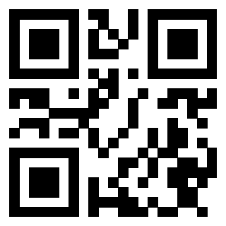 Il Qr Code di 3913284651