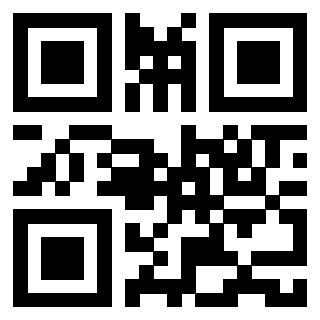 Il Qr Code di 3913360653