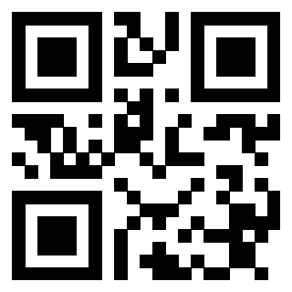Il Qr Code di 3913360660