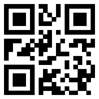 3913360666 QrCode associato