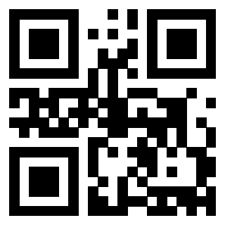 Il Qr Code di 3913360713