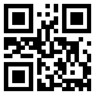 Il Qr Code di 3913360763