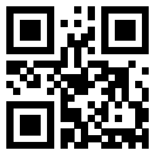 Il Qr Code di 3913360829