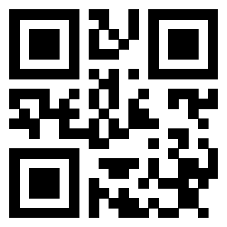 Il Qr Code di 3913360973