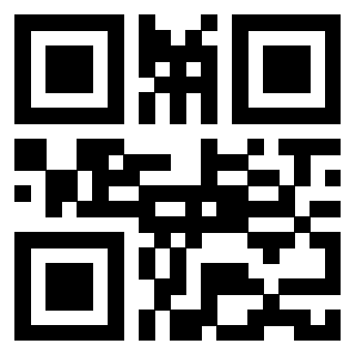 3913361060 - Immagine del QrCode