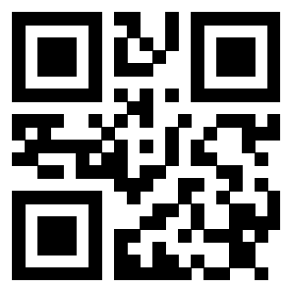 Il Qr Code di 3913361069