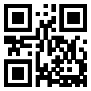 Il Qr Code di 3913361252
