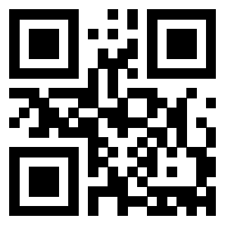 Il Qr Code di 3913361261