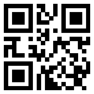 Il Qr Code di 3913361281