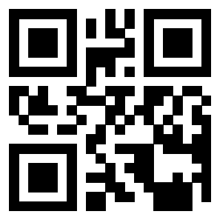 Il Qr Code di 3913361297