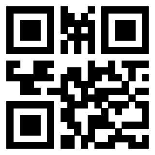 3913361313 - Immagine del QrCode