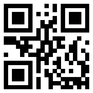 Il Qr Code di 3913361346