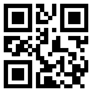 Il Qr Code di 3913361485