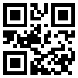Il Qr Code di 3913440134