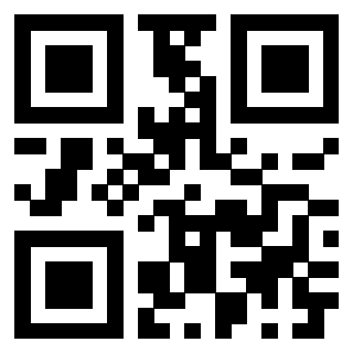 Il Qr Code di 3913440267