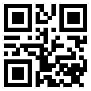 Il Qr Code di 3913440339