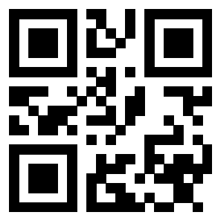 Il Qr Code di 3913440467