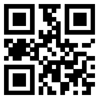 Il Qr Code di 3913440497