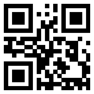 Il Qr Code di 3913440633