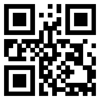 Il Qr Code di 3913440681