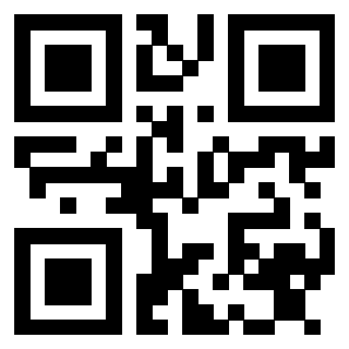Il Qr Code di 3913440757