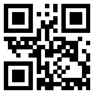 Il Qr Code di 3913440804