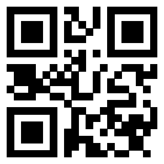 Il Qr Code di 3913441065
