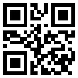 Il Qr Code di 3913441265