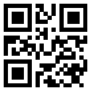 Il Qr Code di 3913441298