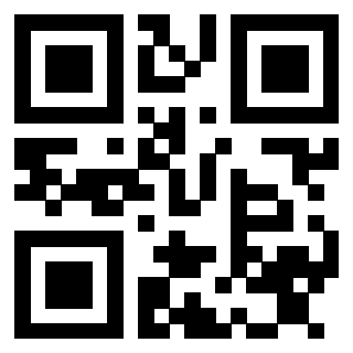3913441307 QrCode associato