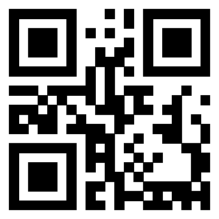 3913441344 Qr Code associato
