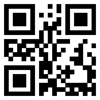 Il Qr Code di 3913441479
