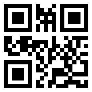 Il Qr Code di 3913441858