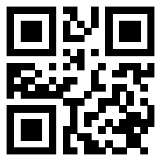 Il Qr Code di 3913463628