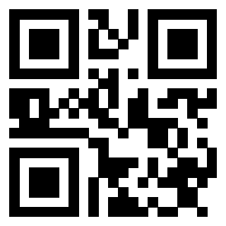Il Qr Code di 3913463723