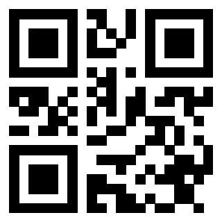 Il Qr Code di 3913463730