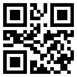Il Qr Code di 3913463839