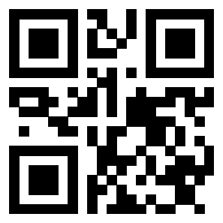 Il Qr Code di 3913463851