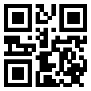Il Qr Code di 3913463897