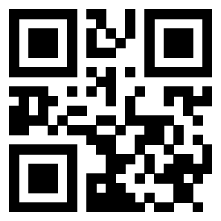 Il Qr Code di 3913463909