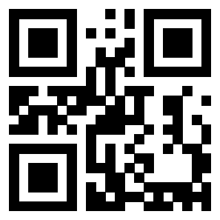 Il Qr Code di 3913463935
