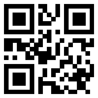 Il Qr Code di 3913464068