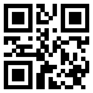 3913464256 QrCode associato