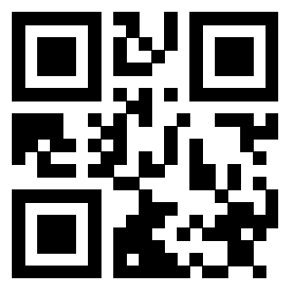 Il Qr Code di 3913464302