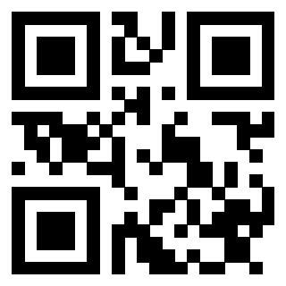Il Qr Code di 3913464361