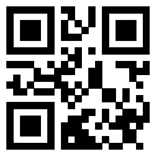 Il Qr Code di 3913464453