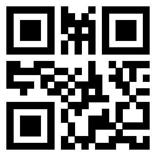 Il Qr Code di 3913476831